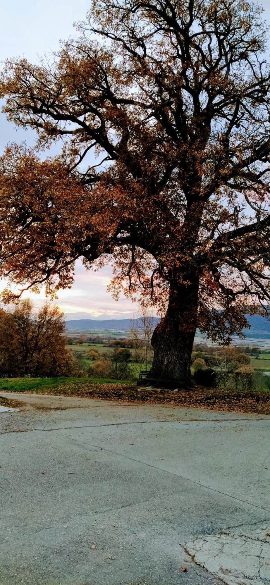 Palacio De Los Alvarado En Las Merindades El Ribero Dış mekan fotoğraf