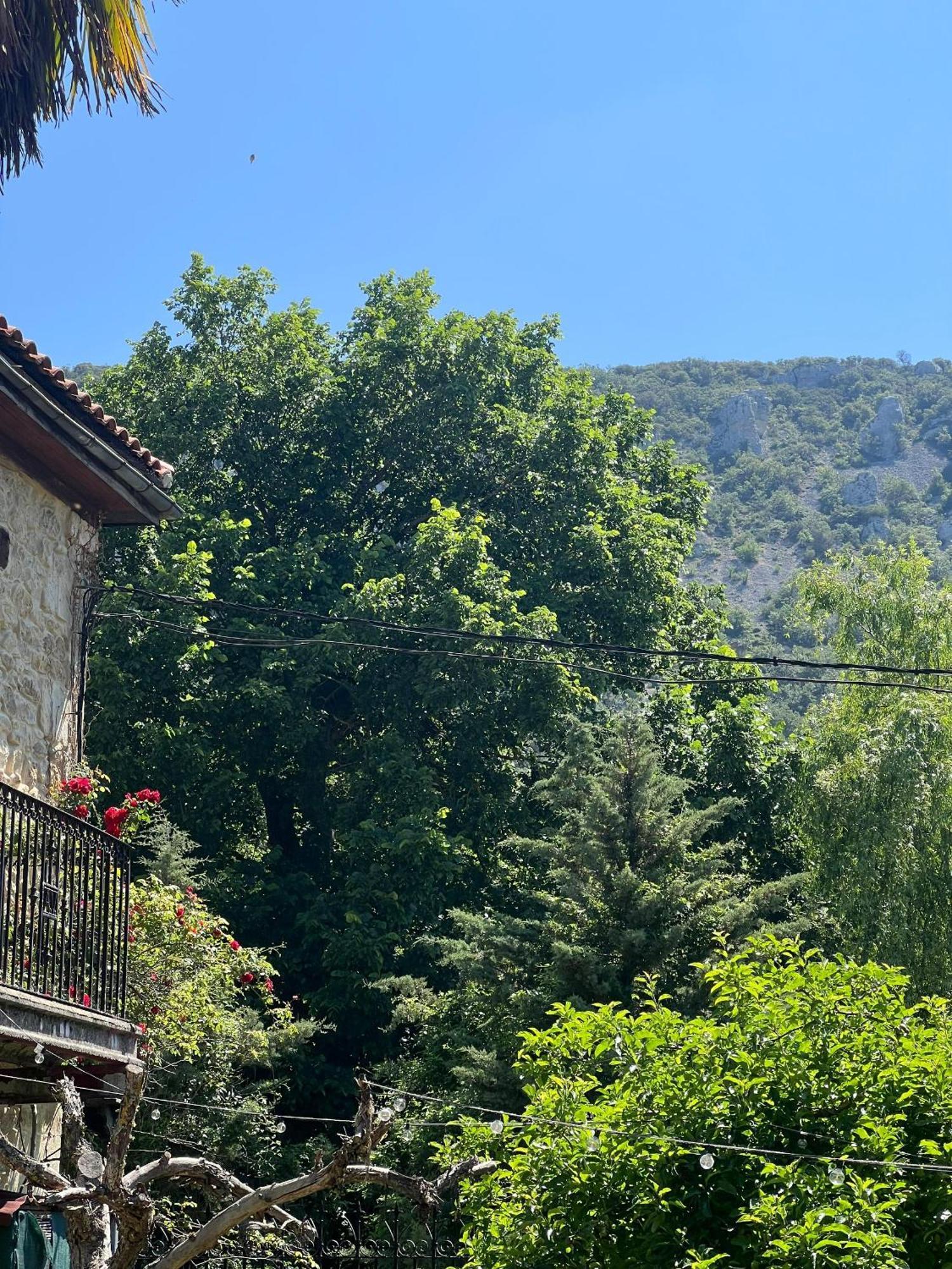 Palacio De Los Alvarado En Las Merindades El Ribero Dış mekan fotoğraf